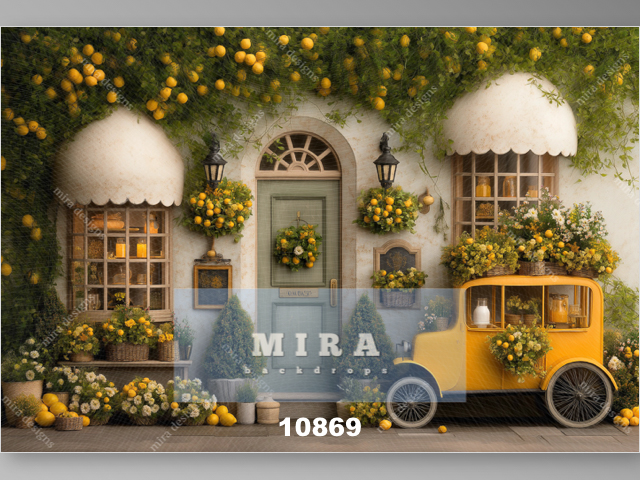 10869 - Vetrine negozio di frutta ricoperto di piante di limoni